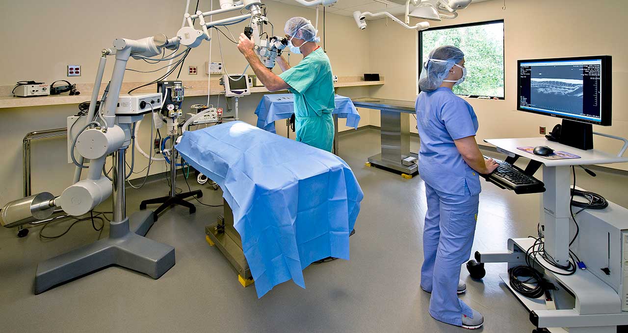 Quirófano veterinario